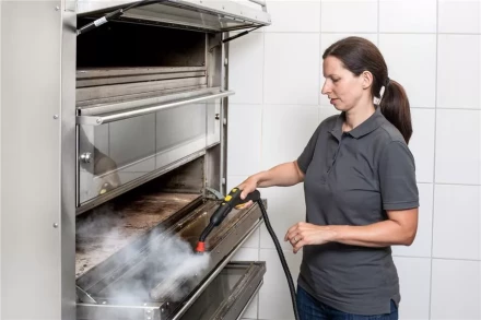 Пароочиститель KARCHER SG 4/4 профи купить в Перми