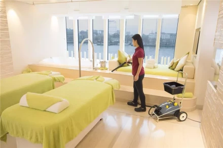 Пароочиститель KARCHER SG 4/4 профи купить в Перми