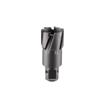 Сверло корончатое твердосплавное ALTECO TCT 24х35 82776