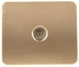 Розетка СВЕТОЗАР &quot;ГАММА&quot; телевизионная, без вставки и рамки, цвет золотой металлик SV-54115-GM купить в Перми