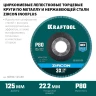 Круги лепестковые циркониевые торцевые 36594-125-80 купить в Перми