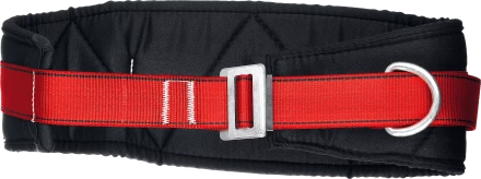 Удерживающая привязь 2 точки крепления серия Без серии 11582 купить в Перми