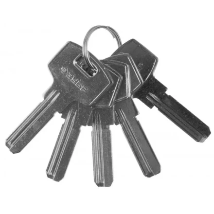 Заготовка ключа ЗУБР &quot;ЭКСПЕРТ&quot; для цилиндровых механизмов, компьютерный тип, 5 шт. 52196_z01 купить в Перми