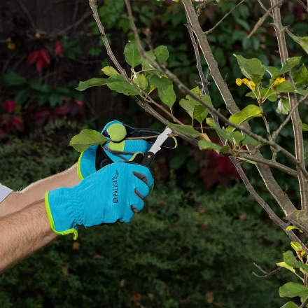 Нож садовый Palisad, 165 мм, складной, окулировочный, пластиковая рукоятка, 790547 купить в Перми