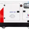 Дизельный генератор ИСТОК АД30С-Т400-РПМ21 купить в Перми
