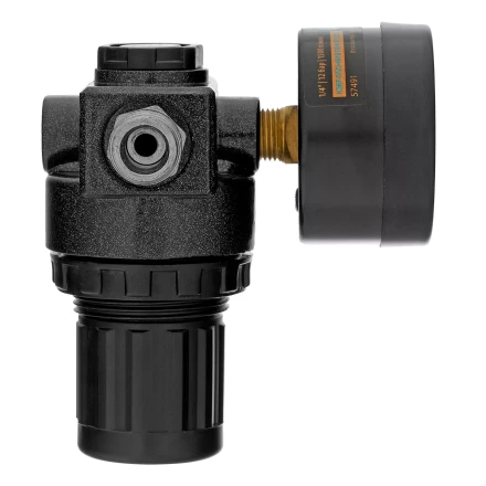 Регулятор давления с манометром Denzel R1500, 12 бар, 1/4&quot;, 57491 купить в Перми