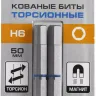 ЗУБР Hex 6, 50 мм, 2 шт, торсионные биты, Профессионал (26017-6-50-2) купить в Перми