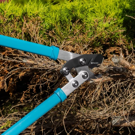 Сучкорез прямого реза Palisad 60597, 750 мм, двухрычажный механизм, двухкомпонентные рукоятки, LUXE купить в Перми