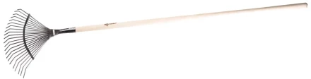 Грабли ЗУБР &quot;ЭКСПЕРТ&quot; веерные из нержавеющей стали, деревянный черенок из ясеня, 16 круглых зубцов, 440х360х1735мм 4-39451_z01 купить в Перми