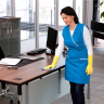 Средство для чистки поверхностей CA 30 C 1 л KARCHER купить в Перми