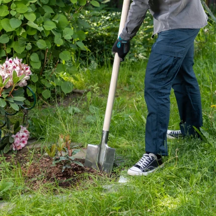 Лопата штыковая, нержавеющая сталь Сибртех, 200х265 мм, ребра жесткости, без черенка, Россия 614375 купить в Перми