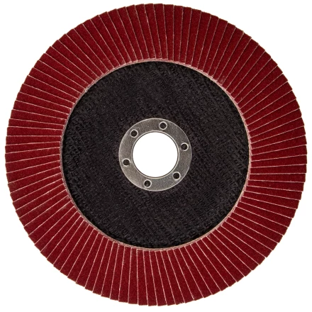 Круг лепестковый торцевой БАЗ КЛТ-1, зернистость Р 120(10Н), 150 х 22.2 мм,  Россия 74023 купить в Перми