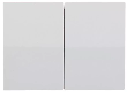 Выключатель СВЕТОЗАР &quot;ЭФФЕКТ&quot; двухклавишный, без вставки и рамки, цвет светло-серый металлик, 10A/~250B SV-54434-SM купить в Перми