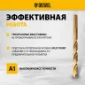 Набор сверл по металлу Denzel 723008, 1-10 мм, Р6М5К8-TiN, Golden Tip, 19 шт купить в Перми